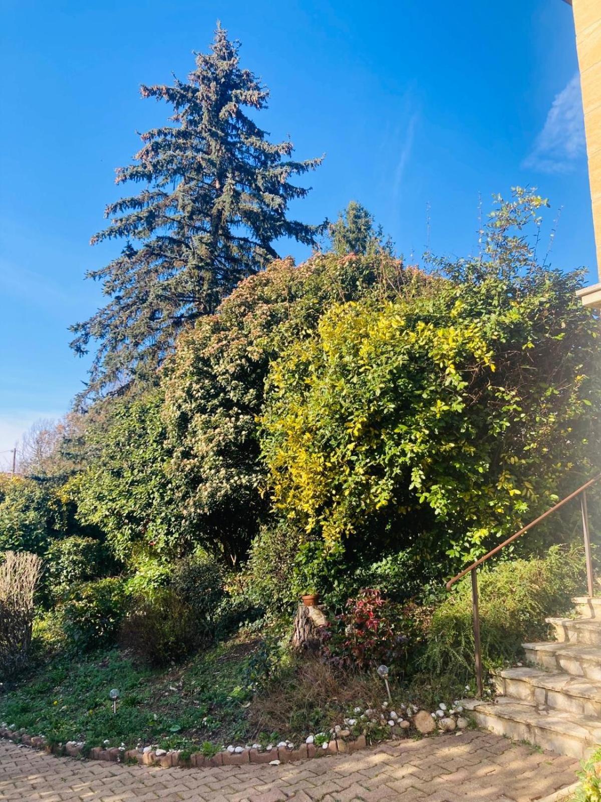 La Petite Noix Διαμέρισμα Sarlat-la-Caneda Εξωτερικό φωτογραφία