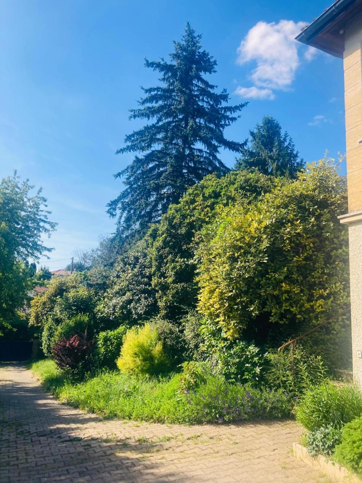 La Petite Noix Διαμέρισμα Sarlat-la-Caneda Εξωτερικό φωτογραφία